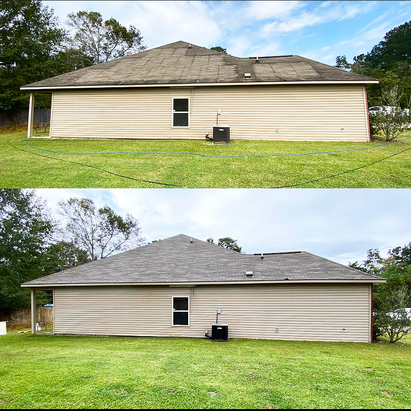 Roof cleaning eastwood